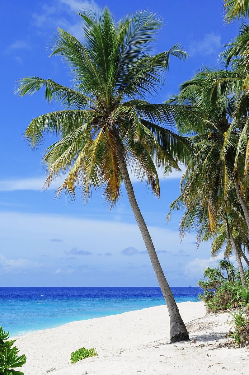 Fiji