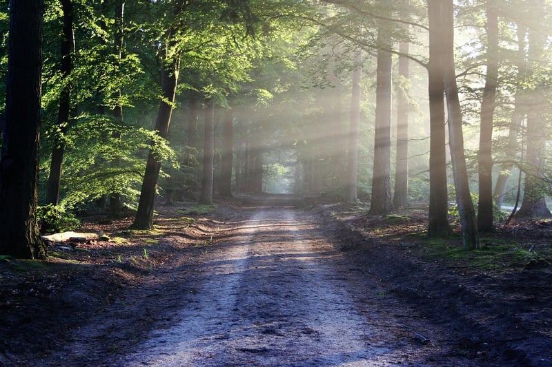 Hiking Trail